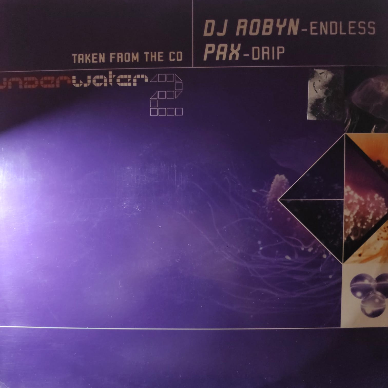 (30760) DJ Robyn / Pax ‎– Endless / Drip