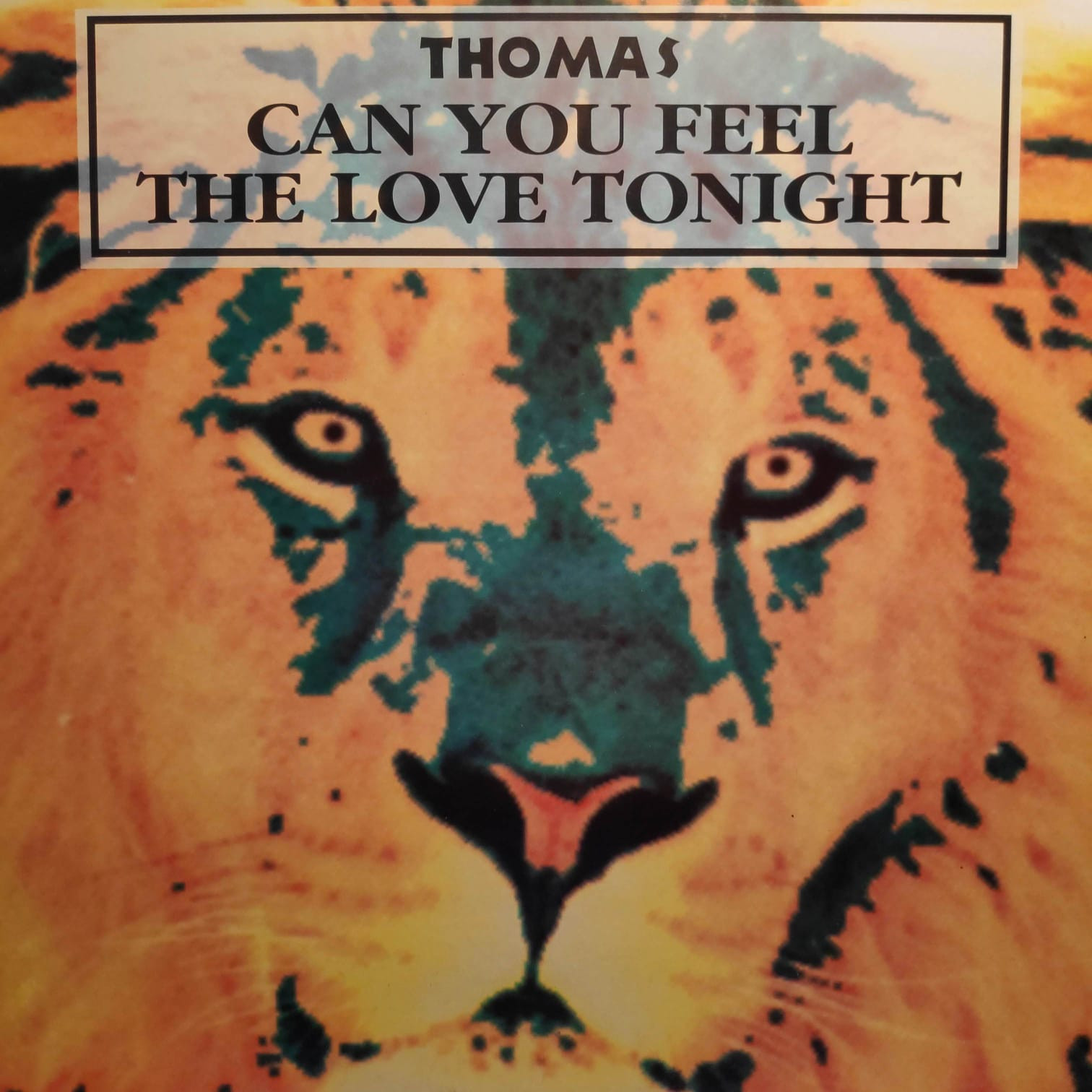 (A0858) Thomas ‎– Can You Feel The Love Tonight