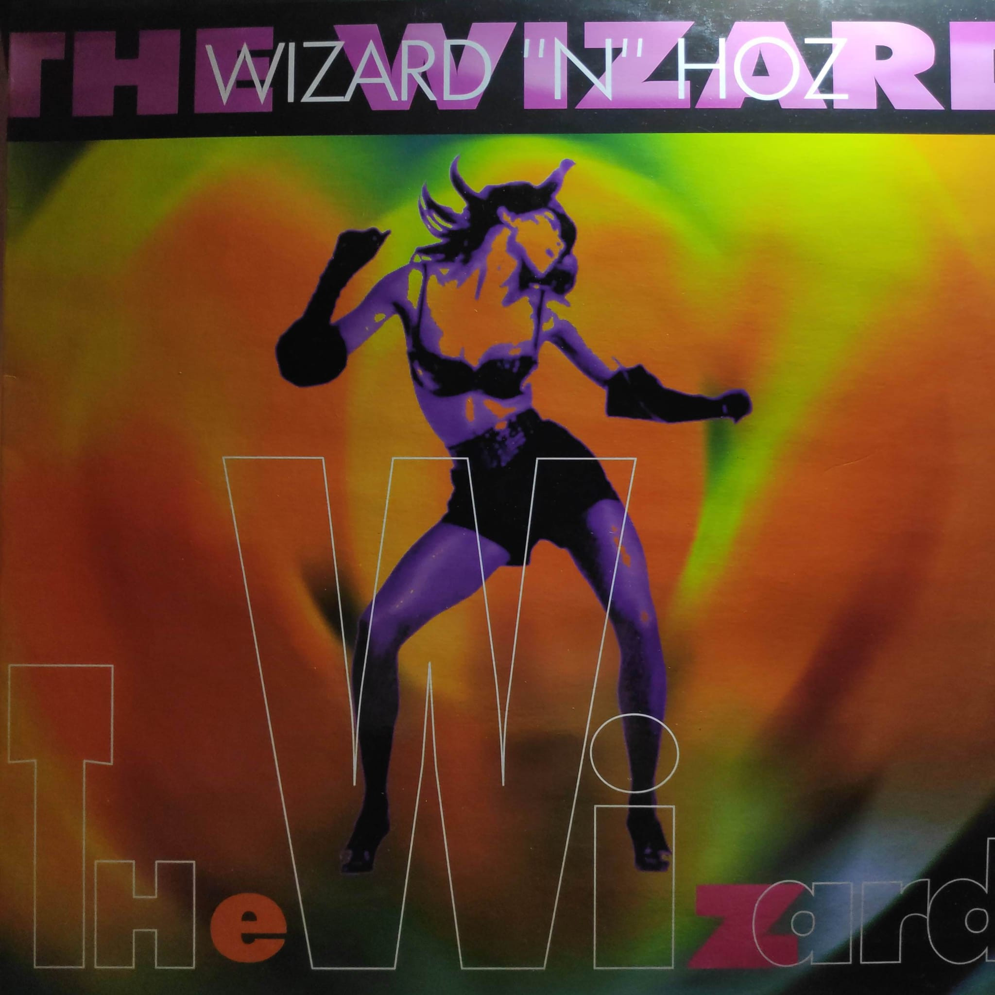 (26645) Wizard 'N' Oz ‎– The Wizard