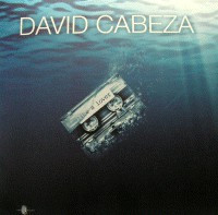 (8443) David Cabeza ‎– Like A Lover