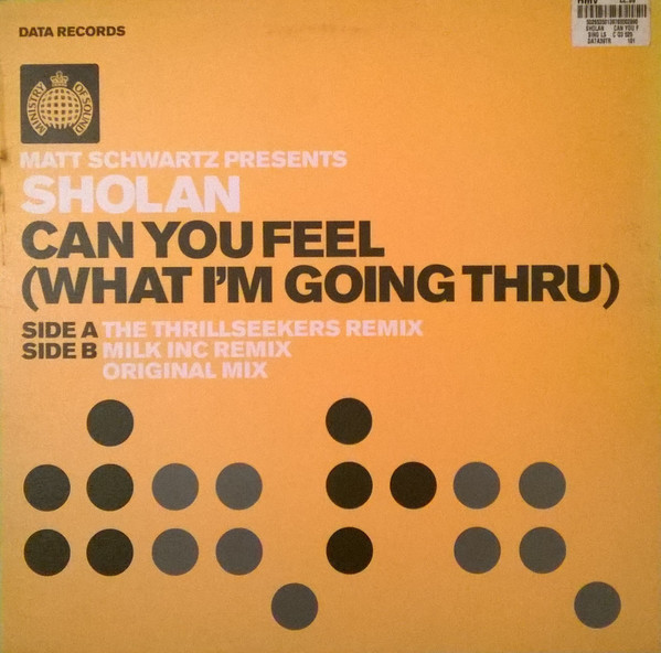 (6266) Matt Schwartz Presents Sholan ‎– Can You Feel (What I'm Going Thru)