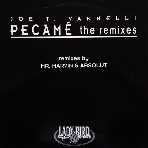 (28928) Joe T. Vannelli ‎– Pecamé (The Remixes)