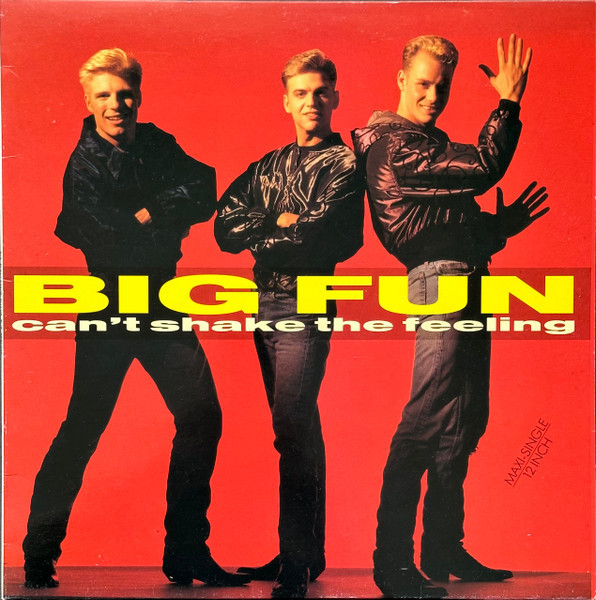 (CS144) Big Fun – Can't Shake The Feeling