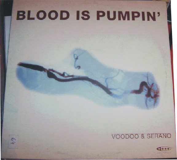 (23685) Voodoo & Serano ‎– Blood Is Pumpin