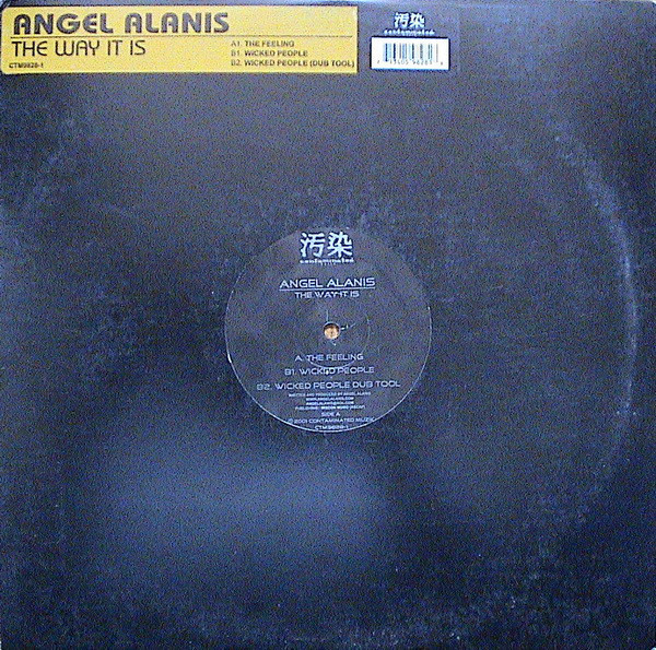 (CM1615) Angel Alanis ‎– The Way It Is