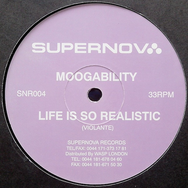 (28971) Moogability ‎– Life Is So Realistic