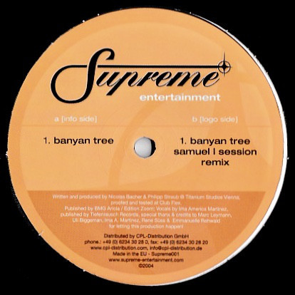 (4567) Felipe & Nicolas Bacher ‎– Banyan Tree