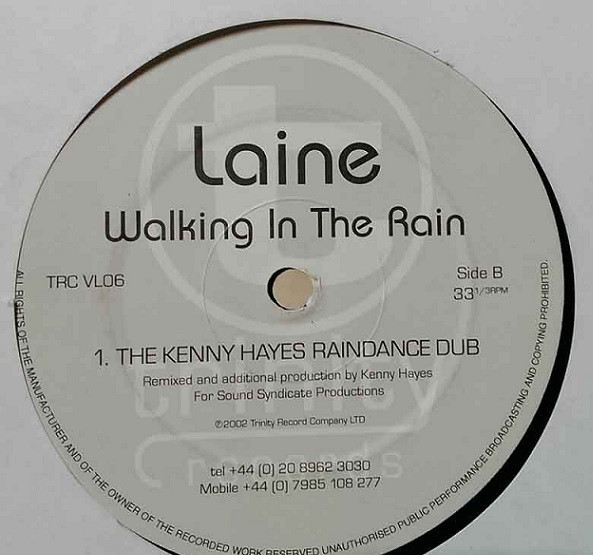 (27560) Laine ‎– Walking In The Rain