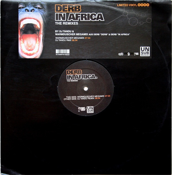 (RIV233) Derb ‎– In Africa (The Remixes)