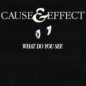 (30251) Cause & Effect ‎– What Do You See