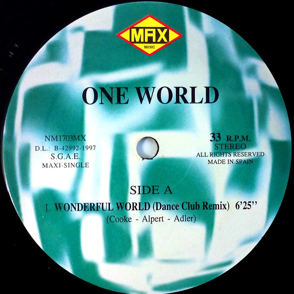 (28099) One World ‎– Wonderful World