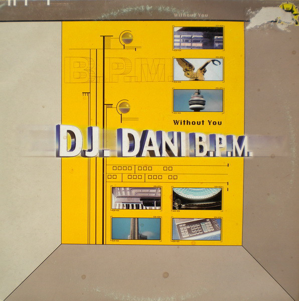 (22634) DJ. Dani B.P.M. ‎– Without You