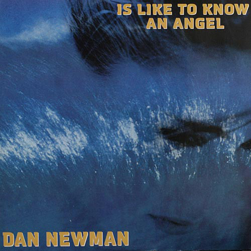 (29412) Dan Newman ‎– Is Like To Know An Angel