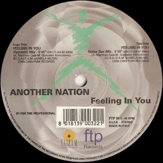 (RIV513) Another Nation ‎– Feeling In You