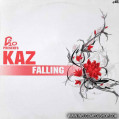 (12728) D10 Presents Kaz ‎– Falling