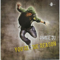 (16841) Angie DJ ‎– You're The Reason