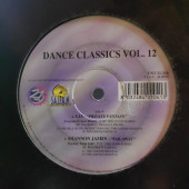 (8306) Dance Classics Vol. 12