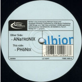 (30988) Albion – Anatronix