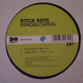 (8866) Bitch Boys ‎– Mindblowing