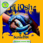 (13832) DJ Josh ‎– Sensation (VG+/GENERIC)