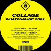 (27730) Collage ‎– Whatchalike 2001