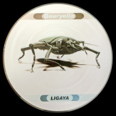 (DC429) Gouryella – Ligaya