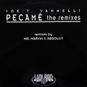 (28928) Joe T. Vannelli ‎– Pecamé (The Remixes)