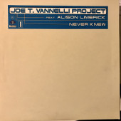 (CMD288) Joe T. Vannelli Project Feat. Alison Limerick ‎– Never Knew