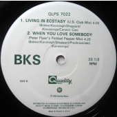 (30638) BKS ‎– Living In Ecstasy