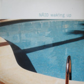 (29751) Nåid ‎– Waking Up (2x12)