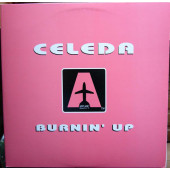 (CMD1064) Celeda – Burnin' Up (2x12)