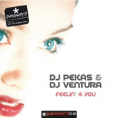 (JR39) DJ Pekas & DJ Ventura feat Lucy ‎– Feelin 4 You