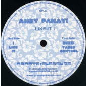 (CMD461) Andy Panayi ‎– I Like It ? / Muzik Takes Control