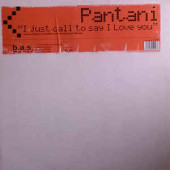 (CUB1523) Pantani ‎– I Just Called To Say I Love You