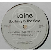 (27560) Laine ‎– Walking In The Rain