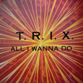 (28807) T.R.I.X. ‎– All I Wanna Do