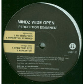 (CMD36) Mindz Wide Open ‎– Perception Examined