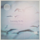 (28156) Mother's Pride ‎– Learning To Fly