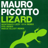 (30905) Mauro Picotto ‎– Lizard
