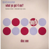 (CC691) Signum – What Ya Got 4 Me?