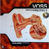 (22285) Voss ‎– Timpanus Project