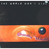 (23399) Sensity World ‎– The World Won't Stop