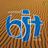 (13304) Wanted Bit Vol. 18