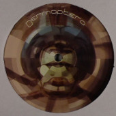 (CO595) Dermaptera – Dermaptera 1